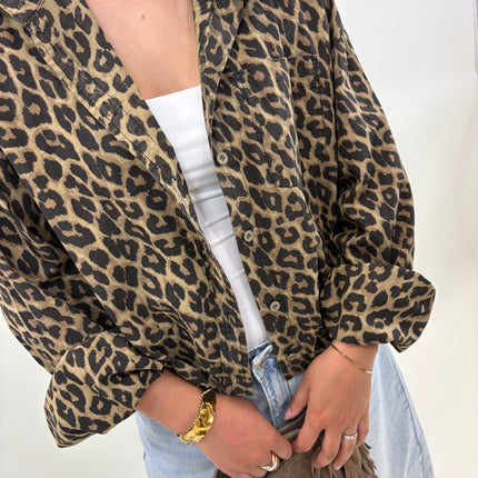 Ally leopard