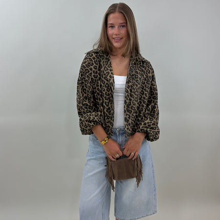 Ally leopard