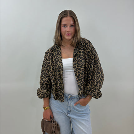 Ally leopard