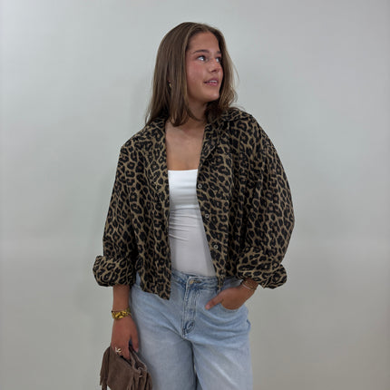 Ally leopard