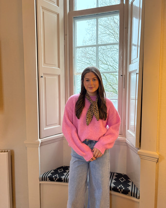  - Guusje sweater roze - Your Style Fashion